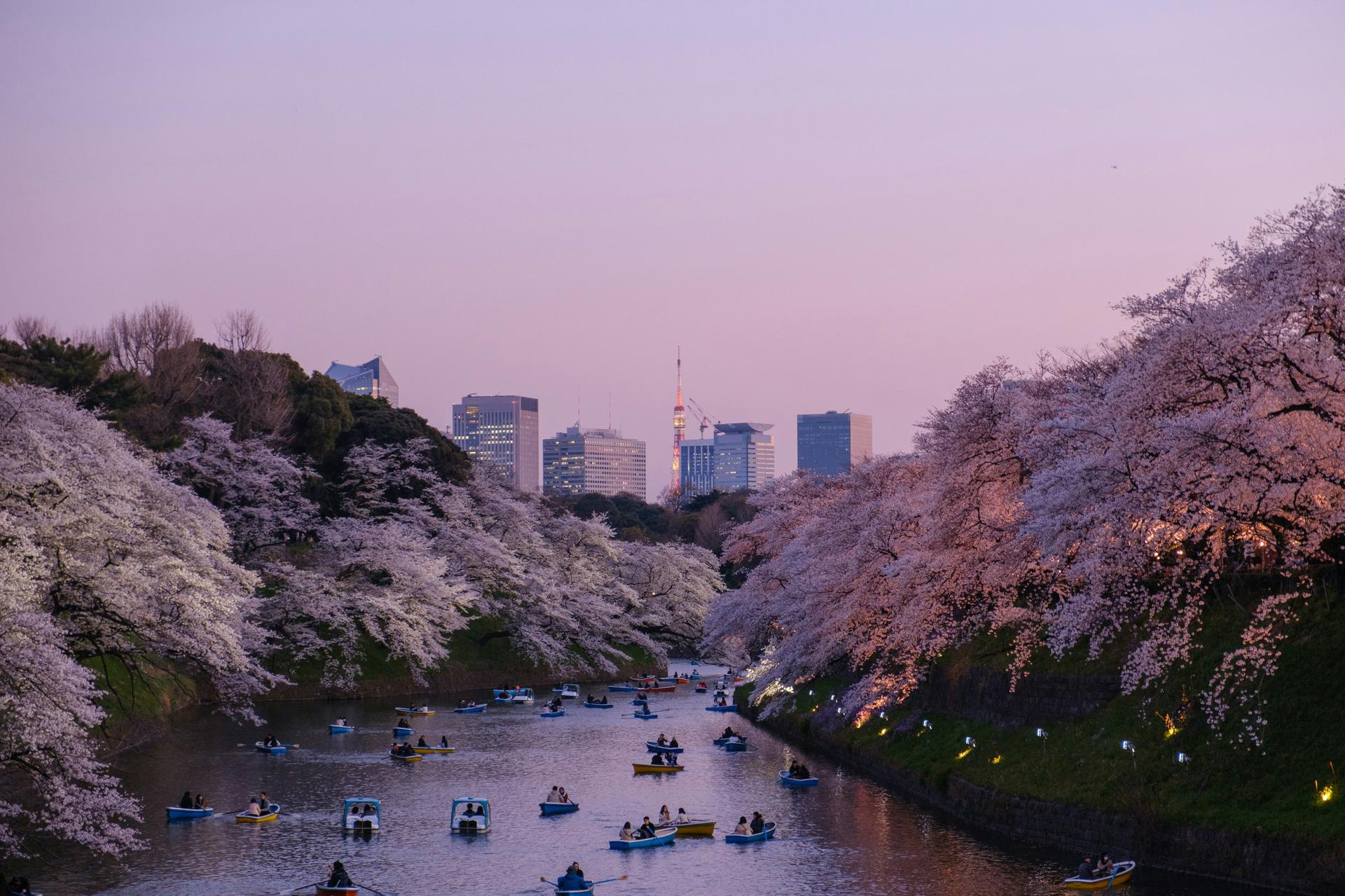 Japan Active Investor Visa