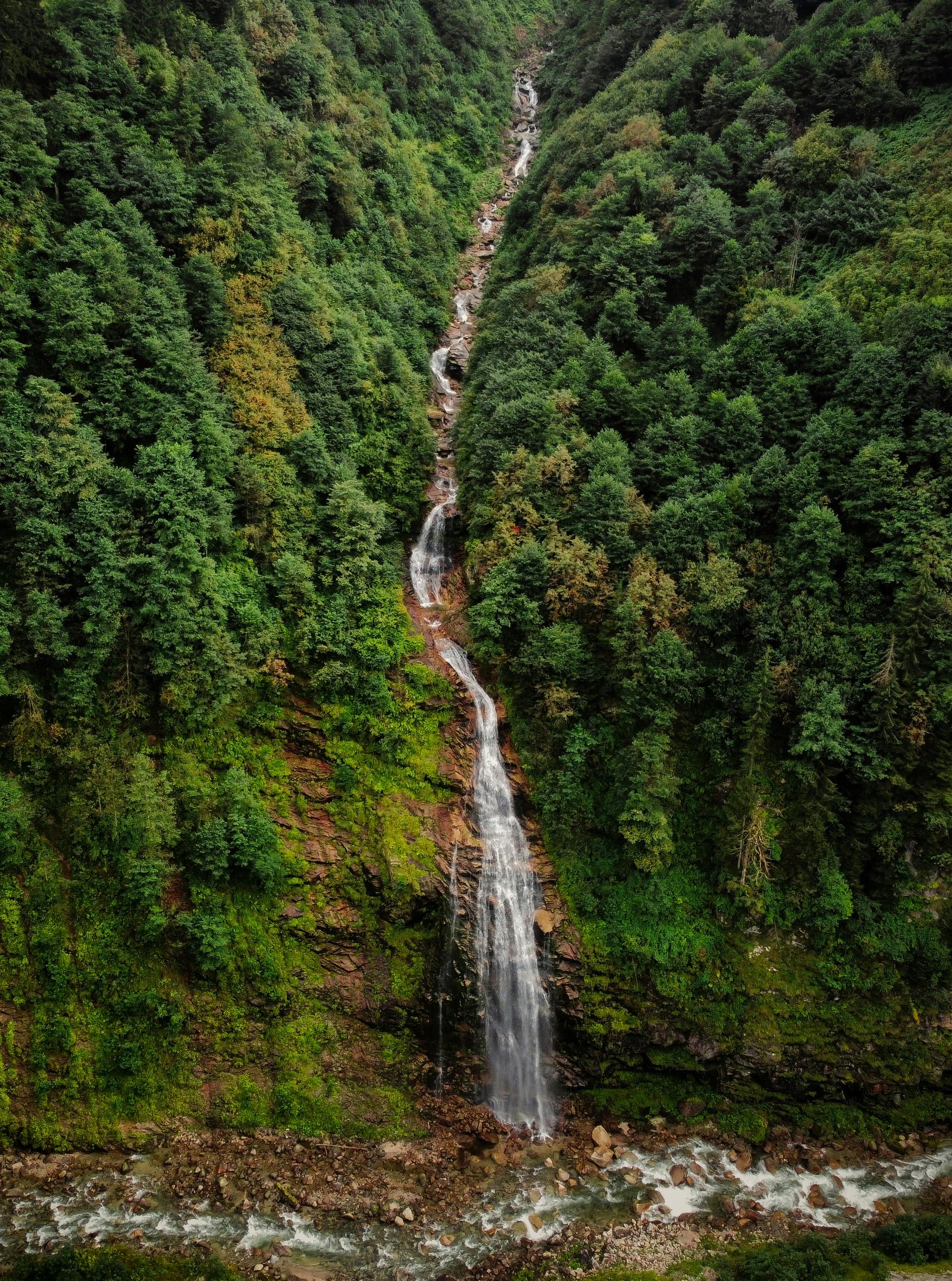 Dominica coastline