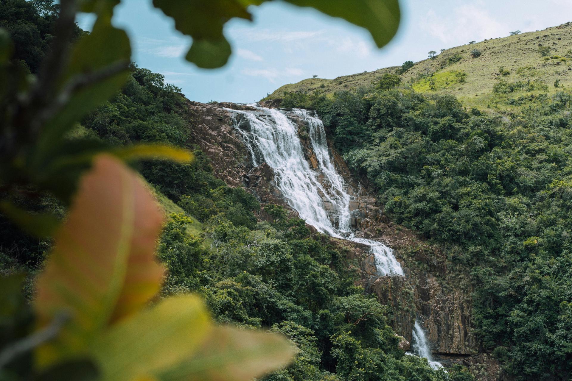 Panama landscape